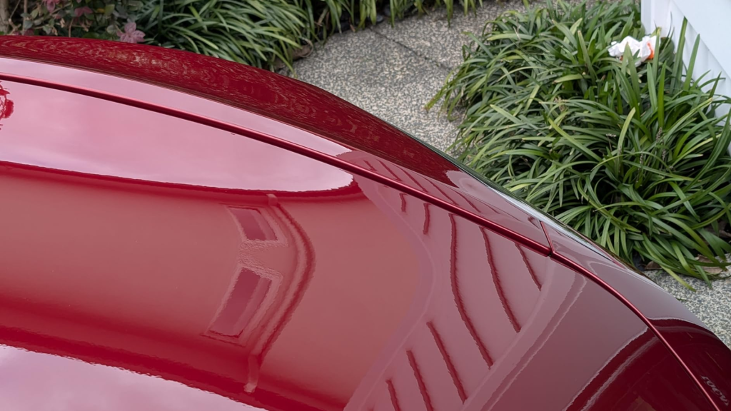 Bild #1 von Maximilian Fischer